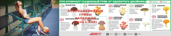 меф Карпинск