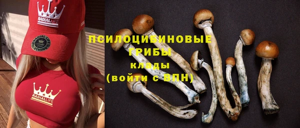 прущая мука Касимов