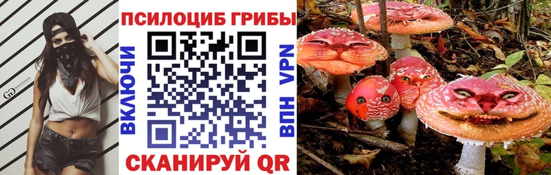 Псилоцибиновые грибы мицелий  Купить где  Донецк 