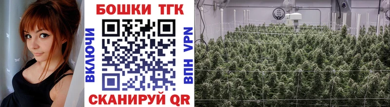 Купить где  Донецк  Бошки Шишки план 